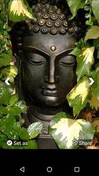 Buddha Wallpapers HD screenshot 5
