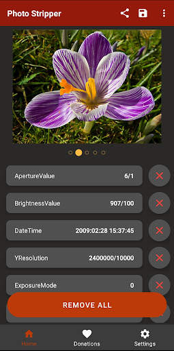 Photo Stripper - Remove, edit EXIF metadata screenshot 2