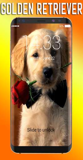 Golden Retriever Lock Screen screenshot 1