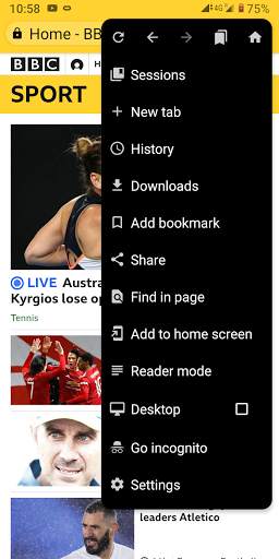 Fulguris Web Browser screenshot 2