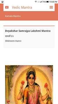 Vedic Mantra screenshot 4