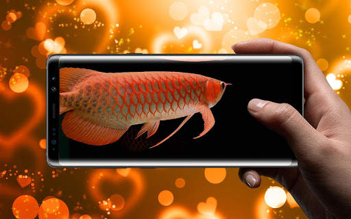 New Arowana 3D Live Wallpaper screenshot 5