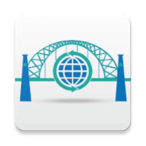 NetBridge VPN 8.7