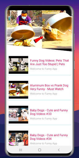 Funny Video Clips Funny Video screenshot 4