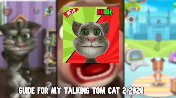 Guide For My Talking Tom  2 screenshot 2