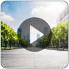 Plus Video Live Wallpaper & Transparent Screen on 9Apps