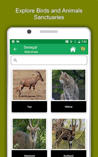 Senegal Travel & Explore, Offline Country Guide screenshot 13