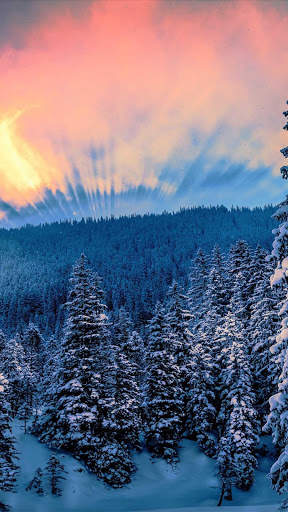 Winter Wallpapers : backgrounds hd screenshot 1