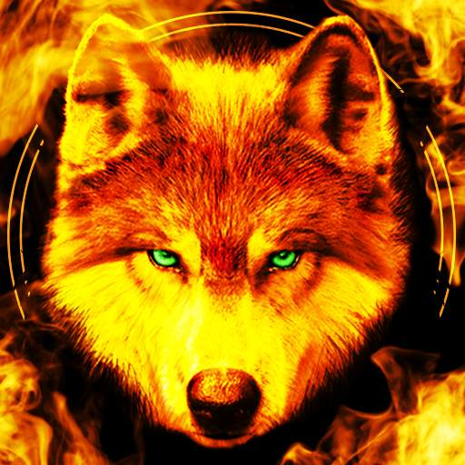 Fire Wallpaper Theme Lone Wolf 5.10.4