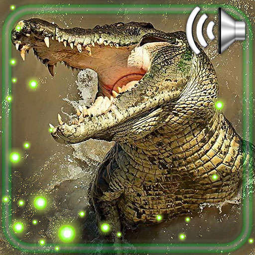 Crocodiles Tropical 1.2
