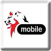 DRAM Mobile 3.0