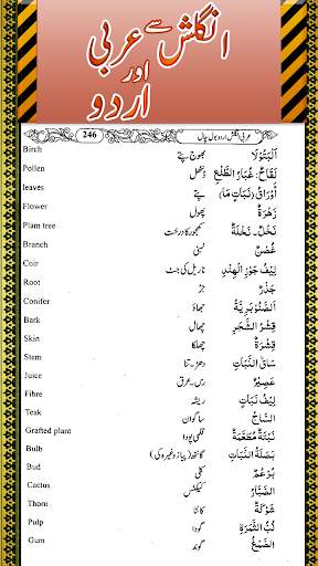 Arabic To English Learn to Speak screenshot 4