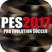 Guide for PES 2017 1.0.1