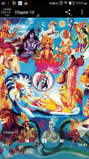 Bhagavad Gita English Audio screenshot 12