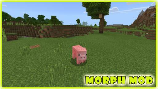 Morph Mod Minecraft 🐴 screenshot 1