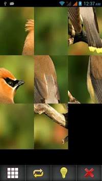 Birds Puzzle screenshot 3