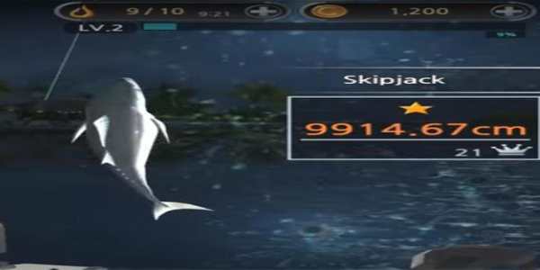Guide for Fishing Hook screenshot 2