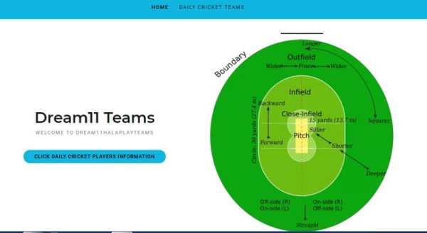 Create Daily Fantasy Cricket Teams screenshot 3