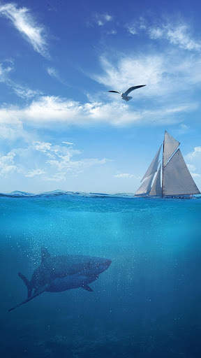 Interactive Shark screenshot 3