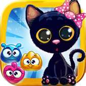 Indy Candy Cat 2