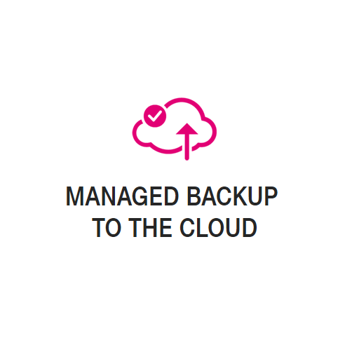 Managed Backup To The Cloud icon