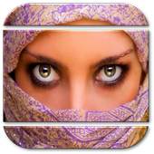 شيلات وغراميات 2.0