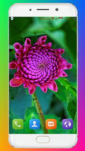 Purple Flower Wallpaper screenshot 5