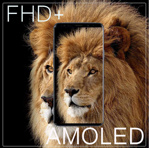 Lion King AMOLED Wallpaper screenshot 1
