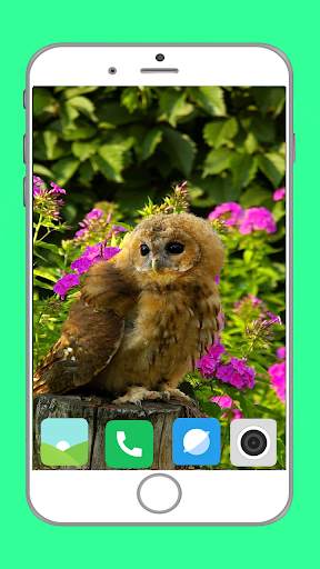 Predator Birds Full HD Wallpaper скриншот 4