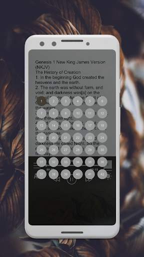 NKJV Bible Free Download screenshot 4
