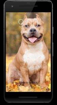 Pitbull Dog HD Lock Screen screenshot 1