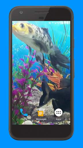 Oscar Fish Aquarium Video 3D screenshot 6
