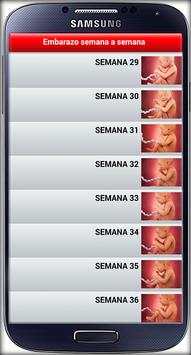 Semanas de Embarazo Guide 4 تصوير الشاشة