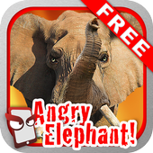 Angry Elephant Free! आइकन