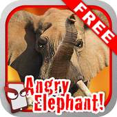 Angry Elephant Free! 1.074