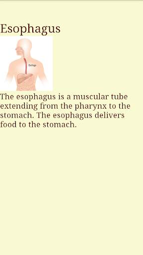 Human Body - Anatomy screenshot 5