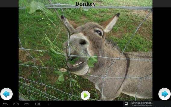 Best Funny Animals Sounds screenshot 6