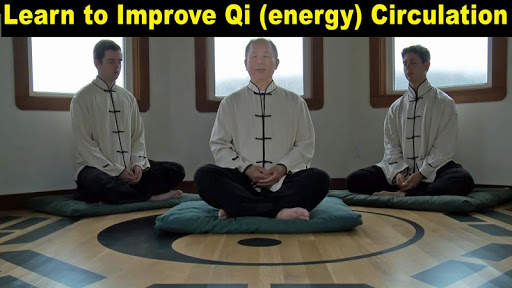 Qigong Meditation (YMAA) Dr.Yang, Jwing-Ming screenshot 8