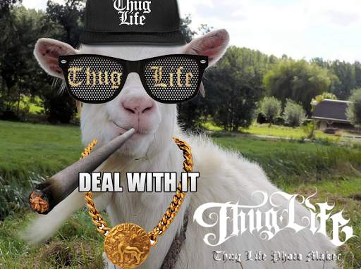 Thug Life Photo Maker 2 تصوير الشاشة