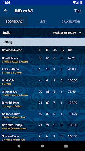 Cricket Lite screenshot 2