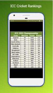 World Record Cricket screenshot 4