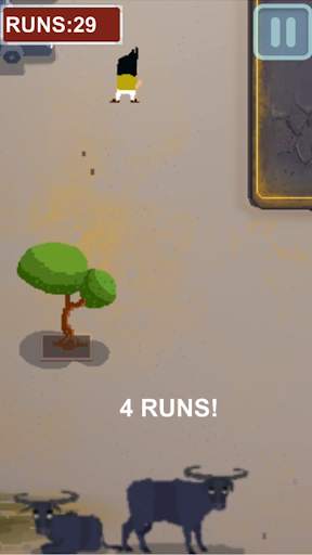 Crazy Cricket screenshot 3