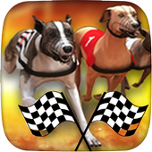 Dog Racing icon