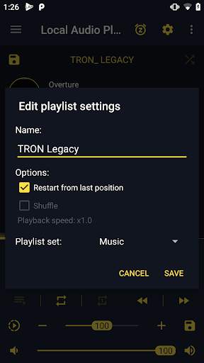LAP - Local Audio Music Player screenshot 4