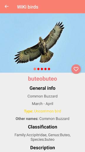Bird Identification स्क्रीनशॉट 4