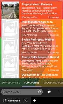 Best web browser screenshot 4