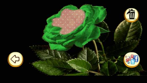 Photo Editor - Rose Photo screenshot 7