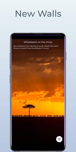BingWalls - Bing Daily Wallpaper screenshot 1