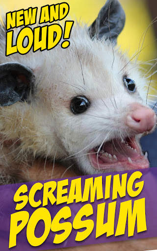 Screaming Goat Air Horn Prank screenshot 2