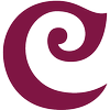 CV Style Partners App icon